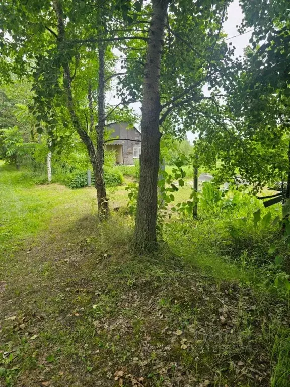 Участок в Хабаровский край, Хабаровский район, Тополевское с/пос, с. ... - Фото 1