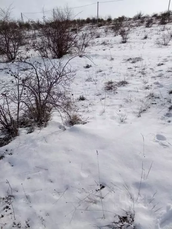 Участок в Крым, Белогорский район, Зуя пгт ул. 8 Марта (7.0 сот.) - Фото 0