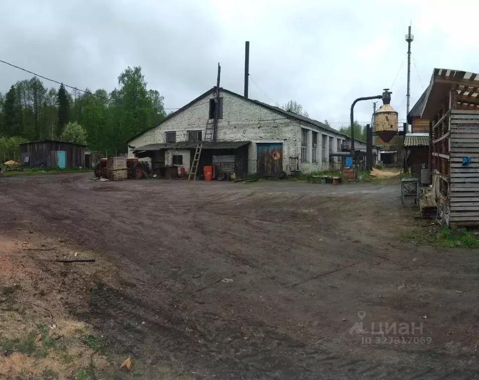 Производственное помещение в Марий Эл, Килемары пгт ул. Пушкина (6000 ... - Фото 2