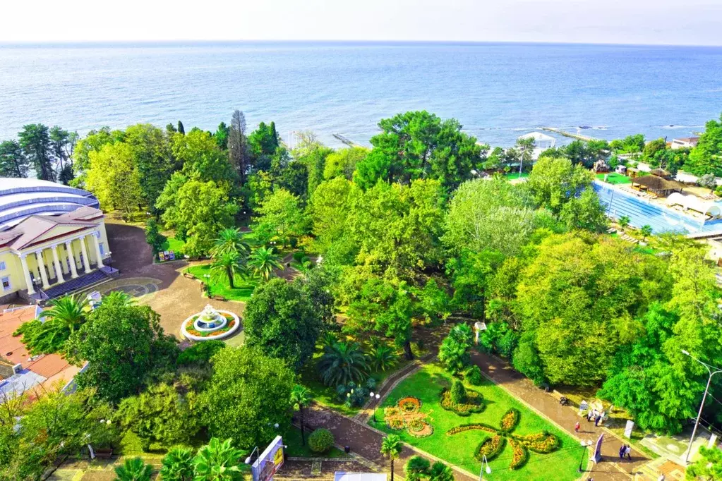 1-к кв. Краснодарский край, Сочи ул. Черноморская, 6 (50.0 м) - Фото 1