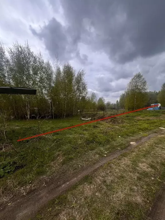 Участок в Нижегородская область, Бор городской округ, д. Селищи  (21.0 ... - Фото 0