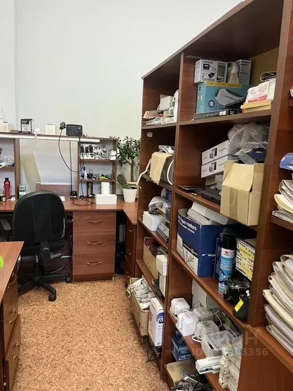 Помещение свободного назначения в Пензенская область, Нижний Ломов ул. ... - Фото 1