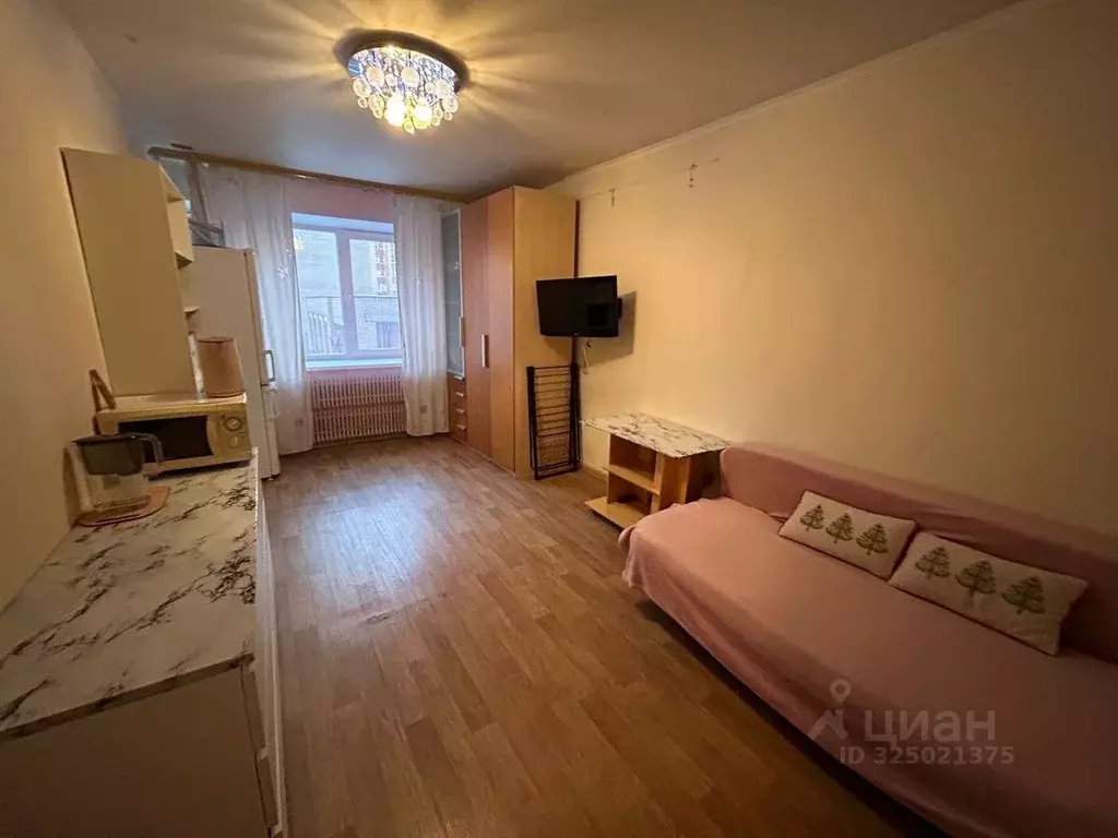 Студия Московская область, Долгопрудный Лихачевское ш., 1б (25.0 м) - Фото 1