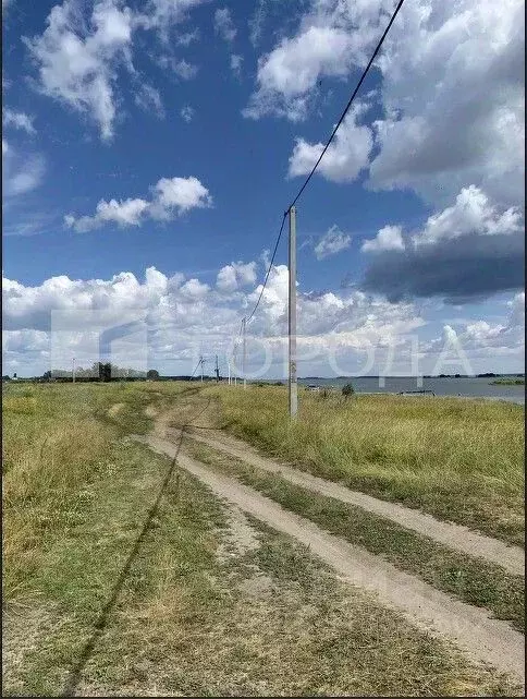 Участок в Новосибирская область, Новосибирский район, Кубовинский ... - Фото 1