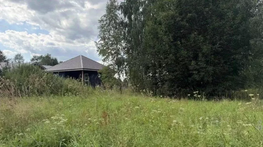 Участок в Московская область, Серпухов городской округ, с. Турово  ... - Фото 1