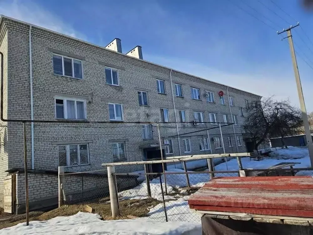 2-к кв. Курганская область, Каргапольский муниципальный округ, с. Чаши ... - Фото 1