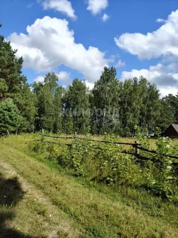 Участок в Томская область, Томский район, с. Курлек Трактовая ул., ... - Фото 1