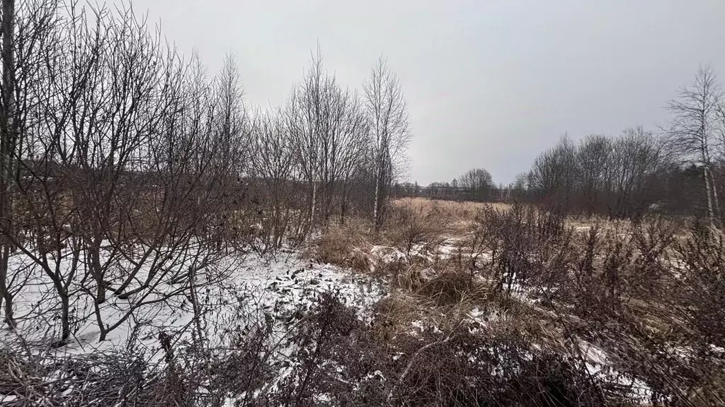 Участок в Московская область, Клин городской округ, д. Ватолино  (15.0 ... - Фото 1