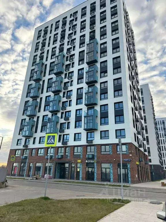 Студия Московская область, Домодедово городской округ, с. Ям ул. ... - Фото 2