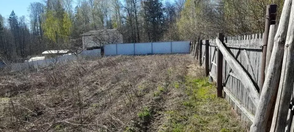 Дальняя зеленодольск. Лесничество Зеленодольск. СНТ дальние Луга фото.