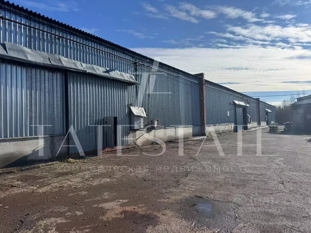 Склад в Татарстан, Зеленодольск Кооперативная ул., 12 (2592 м) - Фото 2