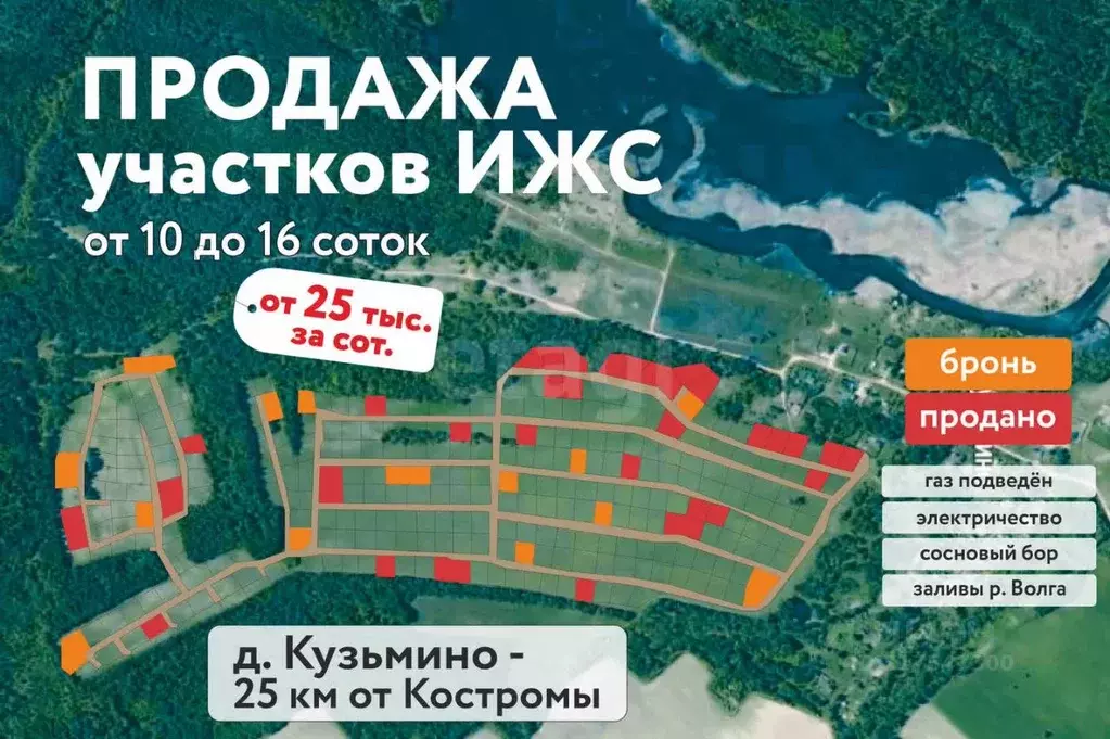 Участок в Костромская область, Красносельский район, Шолоховское ... - Фото 0
