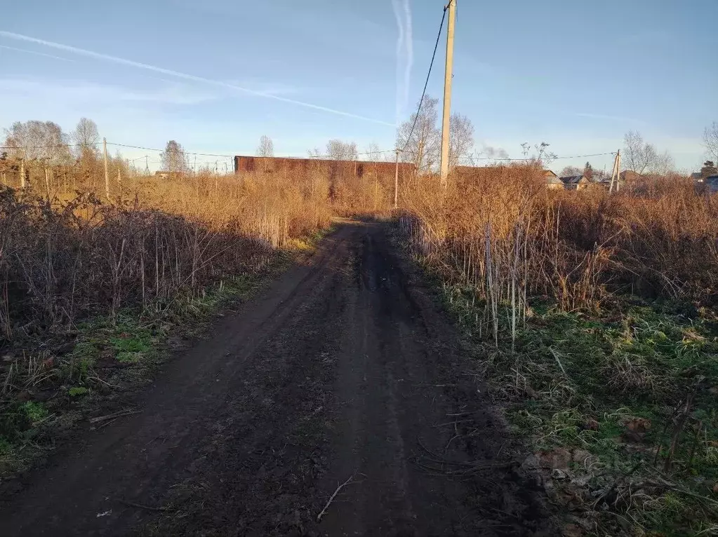 Участок в Кемеровская область, Кемеровский муниципальный округ, с. ... - Фото 2