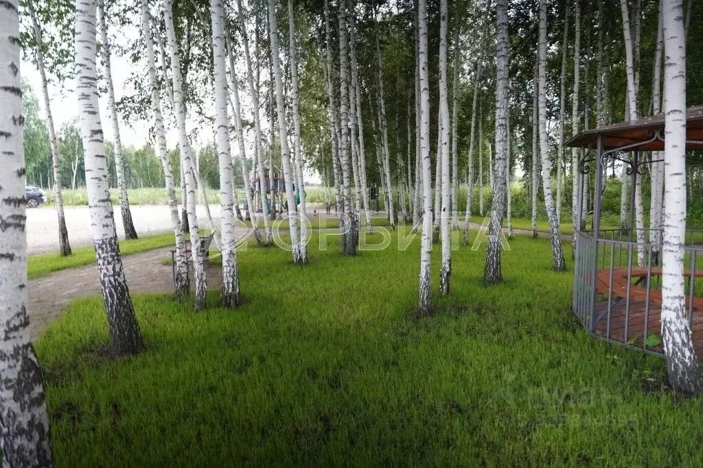 Участок в Тюменская область, Нижнетавдинский муниципальный округ, ... - Фото 2