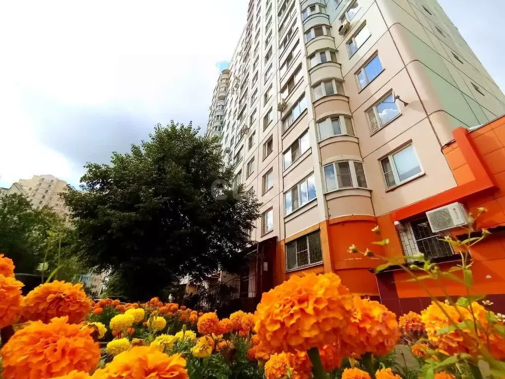 2-к кв. Московская область, Люберцы городской округ, д. Островцы ул. ... - Фото 0