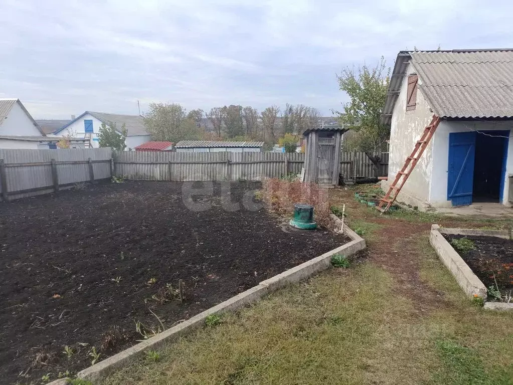Дом в Белгородская область, Вейделевка рп ул. Гагарина, 33 (86 м) - Фото 1