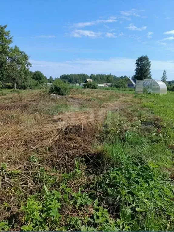 Участок в Ярославская область, Ярославский муниципальный округ, д. ... - Фото 2