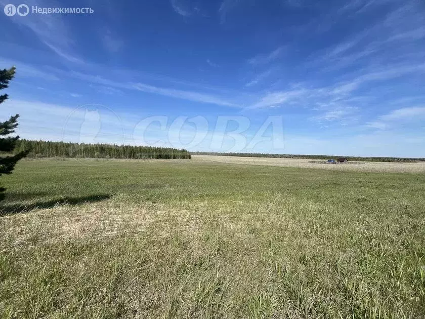 Участок в Нижнетавдинский район, деревня Штакульская (10 м) - Фото 0