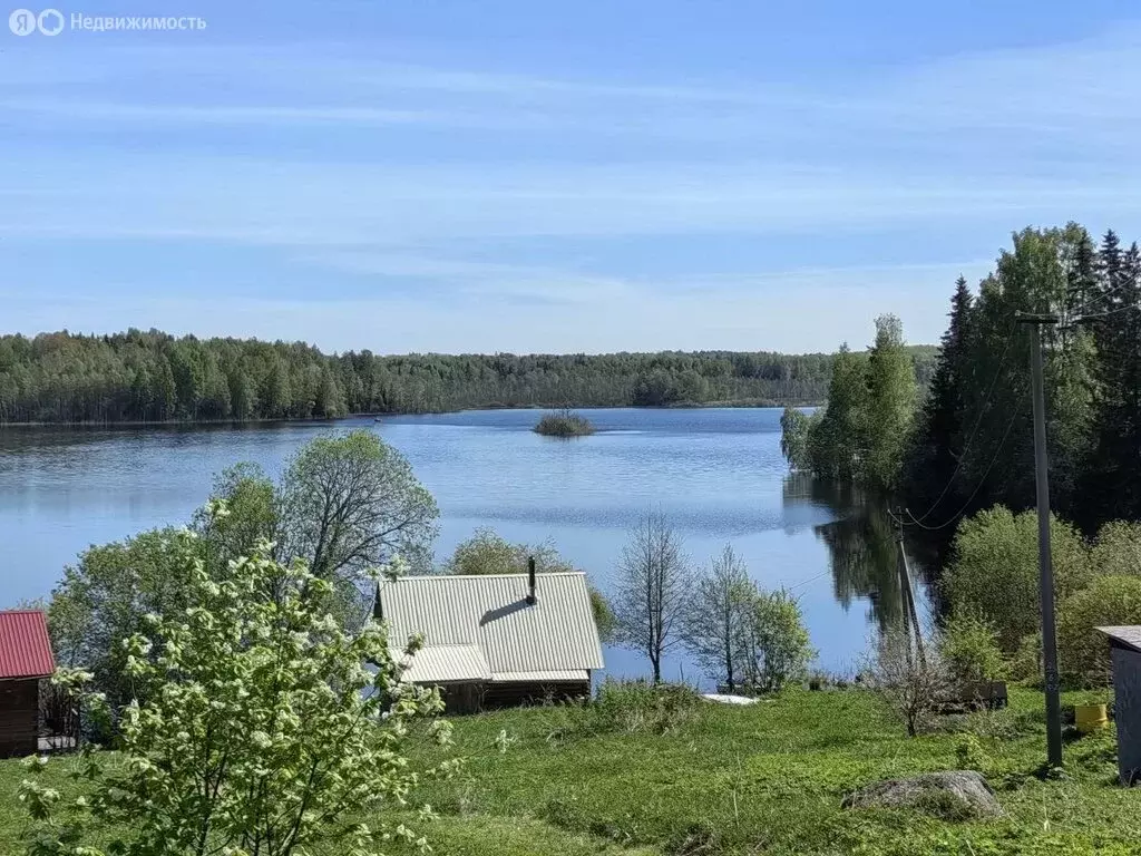 Дом в Вологодская область, Белозерский муниципальный округ, деревня ... - Фото 2