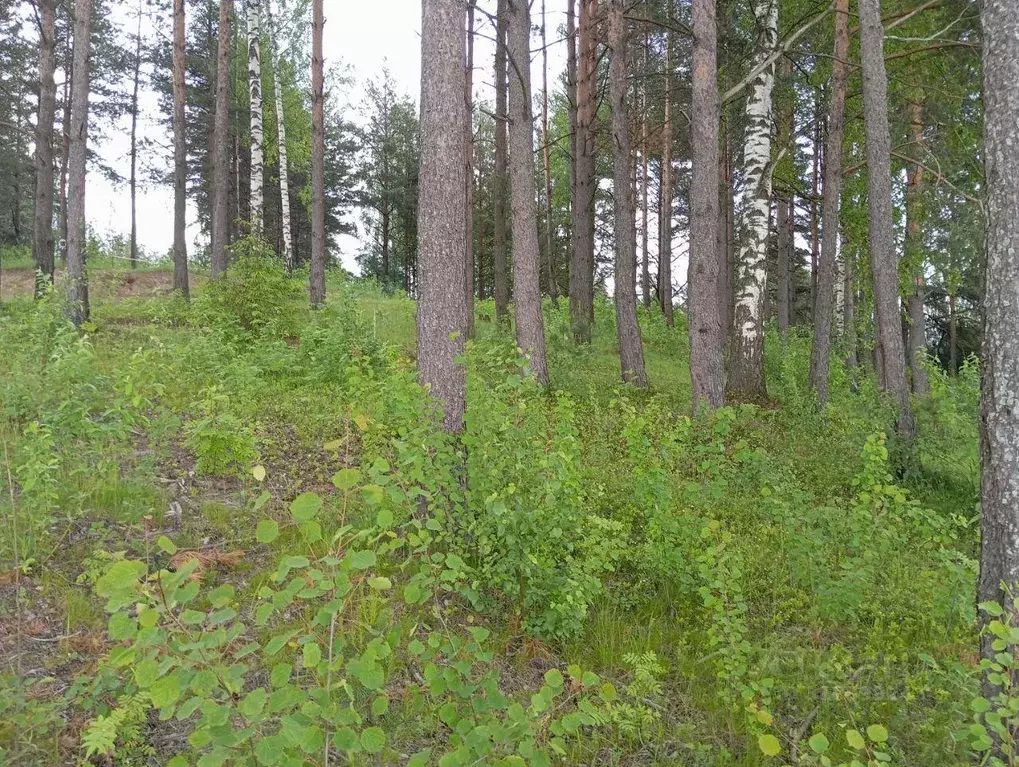 Участок, 35.2 сот., поселения (ижс) - Фото 1