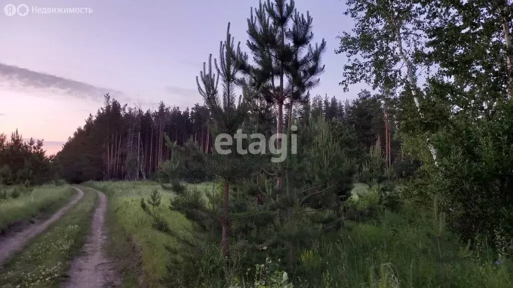 Участок в Елабужский район, Поспеловское сельское поселение, село ... - Фото 0