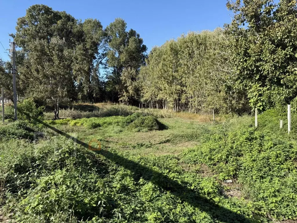 Участок в Севастополь с. Вишневое, ул. Садовая, 10А (8.5 сот.) - Фото 1