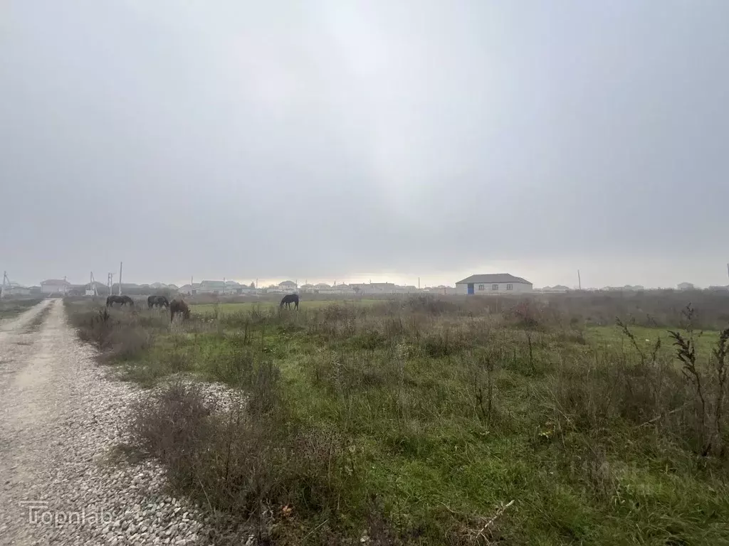 Участок в Кабардино-Балкария, Чегемский район, с. Шалушка Северная ул. ... - Фото 2