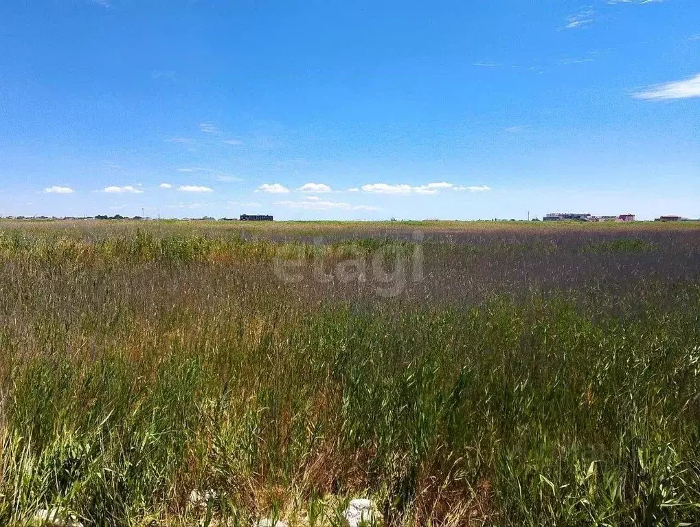 Участок в Крым, Феодосия ул. Каштановая (10.0 сот.) - Фото 0