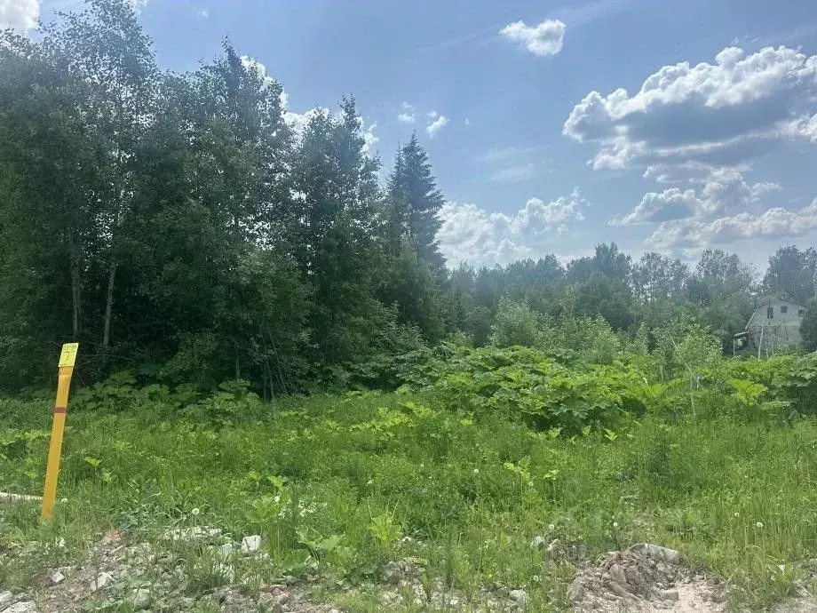 Участок в Пермский край, Березники ул. Павла Богословского (14.0 сот.) - Фото 2