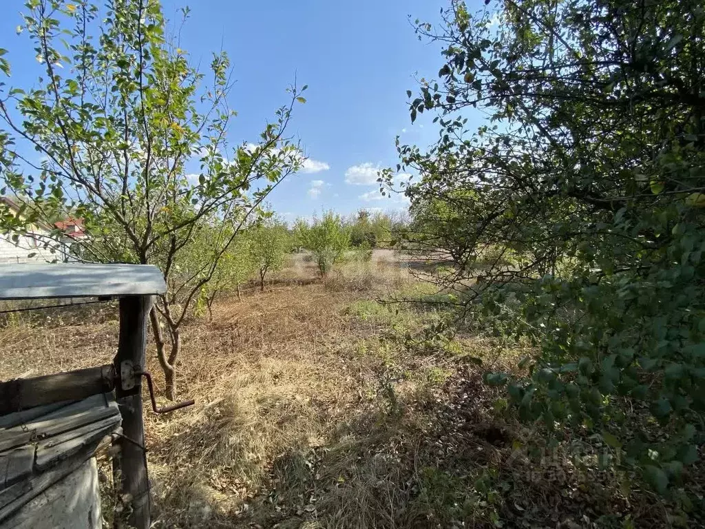 Дом в Белгородская область, Валуйки ул. Москвича (42 м) - Фото 1