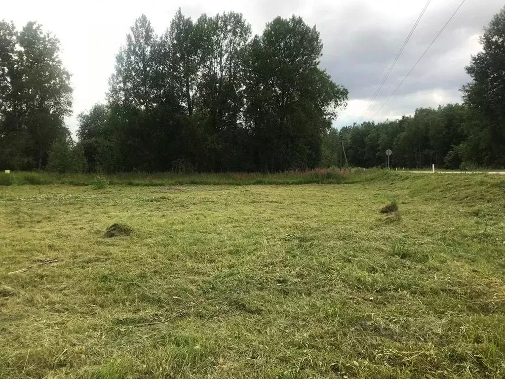 Участок в Ленинградская область, Кингисеппский район, Большелуцкое ... - Фото 1