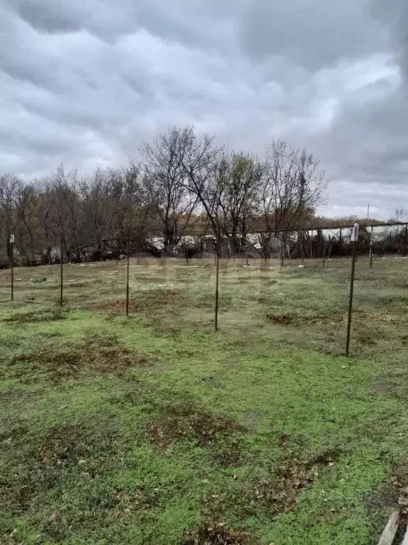 Участок в Ростовская область, Октябрьский район, Бессергеневская ст-ца ... - Фото 2