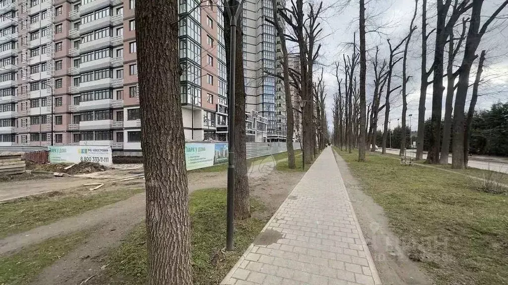 Торговая площадь в Краснодарский край, Краснодар ул. ... - Фото 2