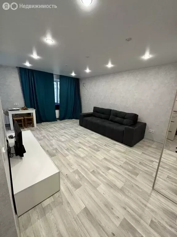1-комнатная квартира: Саратов, Ипподромная улица, 11 (30.4 м) - Фото 0
