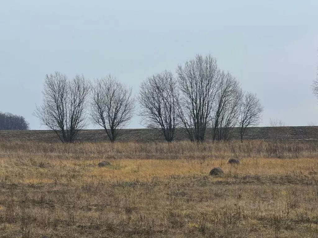 Участок в Московская область, Кашира городской округ, д. Токарево  ... - Фото 0