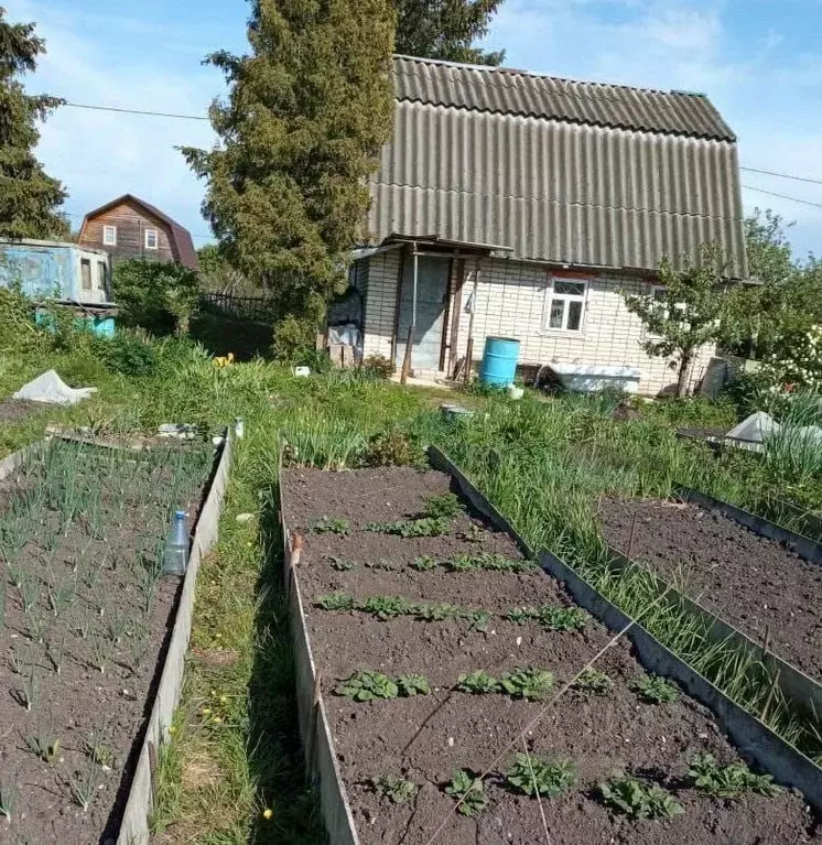 Дом в Новгородская область, Новгородский муниципальный район, ... - Фото 2
