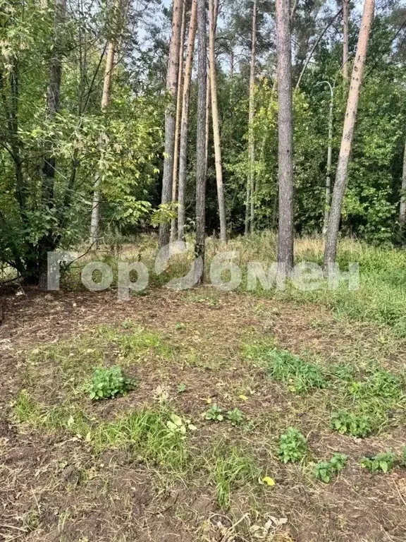 Участок в Московская область, Раменское ул. Грибоедова, 10 (7.52 сот.) - Фото 2