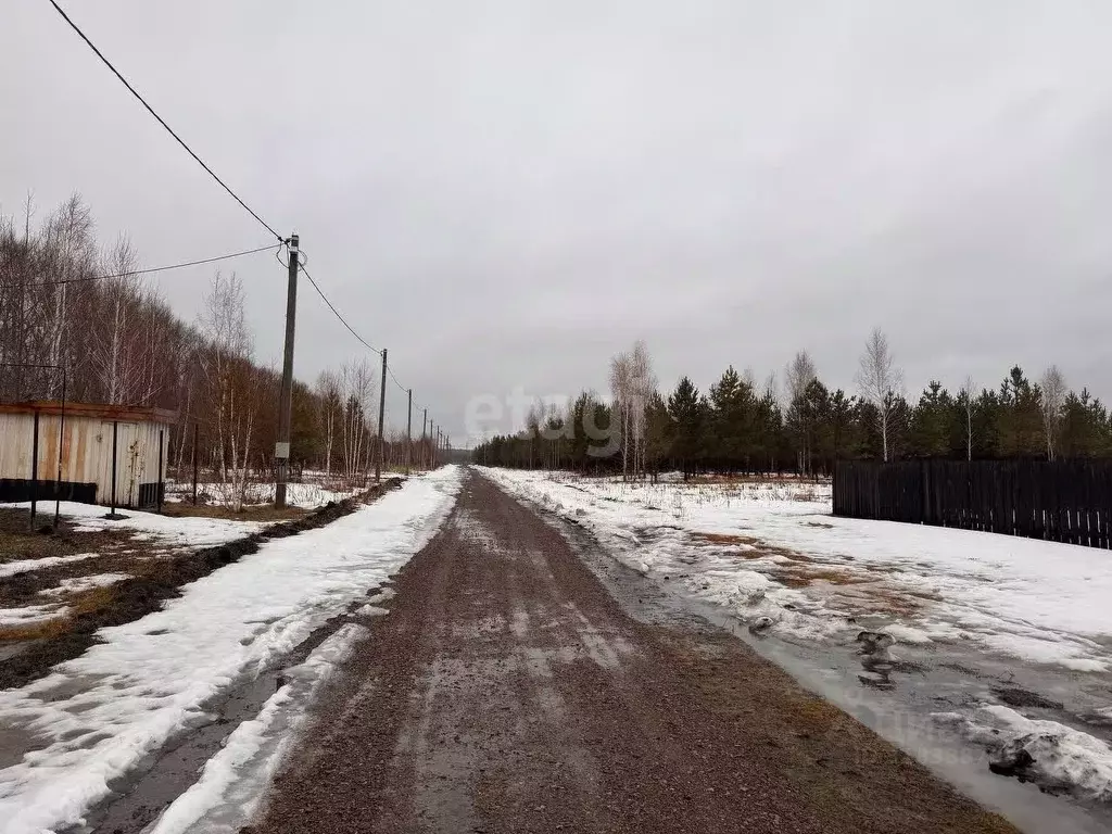 Участок в Курганская область, Шадринский муниципальный округ, с. Ключи ... - Фото 1