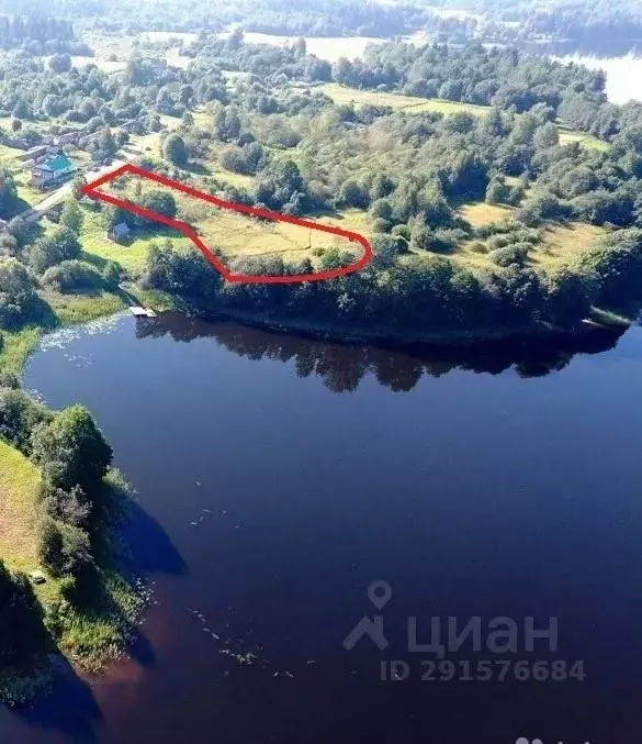 Участок в Тверская область, Западнодвинский район, д. Улин Центральная ... - Фото 0