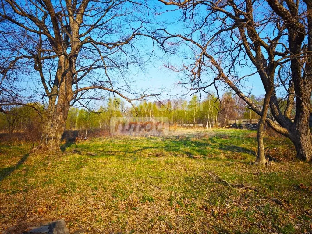 Участок в Приморский край, Большой Камень городской округ, с. Суходол ... - Фото 0