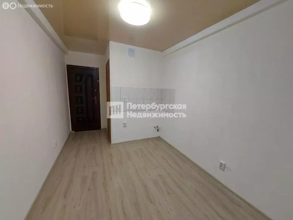 Квартира-студия: Санкт-Петербург, Суздальский проспект, 9 (11.75 м) - Фото 1