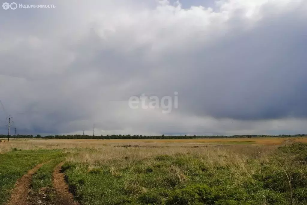 Участок в Курган, Зайково (7 м) - Фото 1