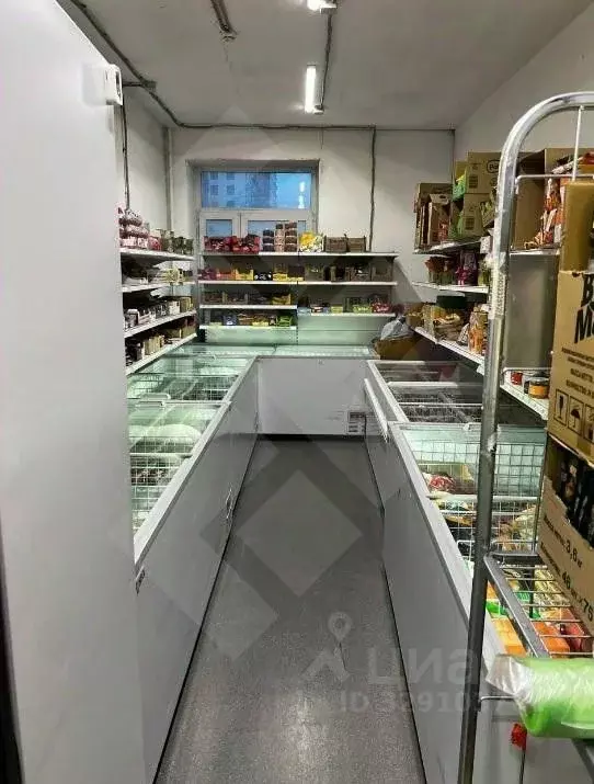 Помещение свободного назначения в Московская область, Люберцы Зенино ... - Фото 2