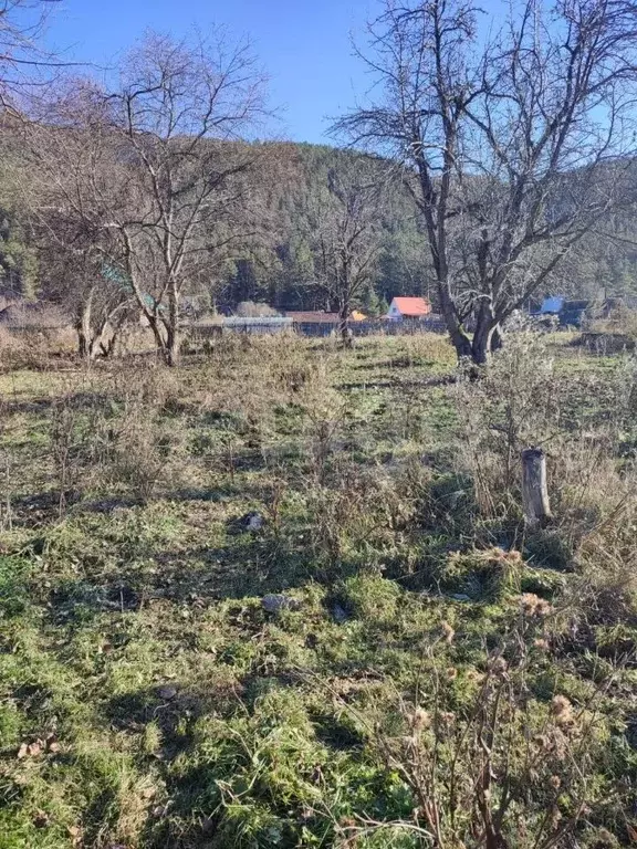Участок в Алтай, Усть-Коксинский район, пос. Гагарка Центральная ул., ... - Фото 1