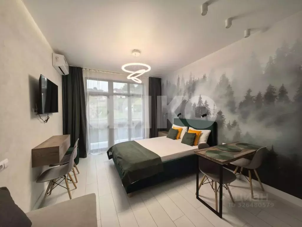 Студия Краснодарский край, Сочи Львовская ул., 70Ас1 (26.1 м) - Фото 1