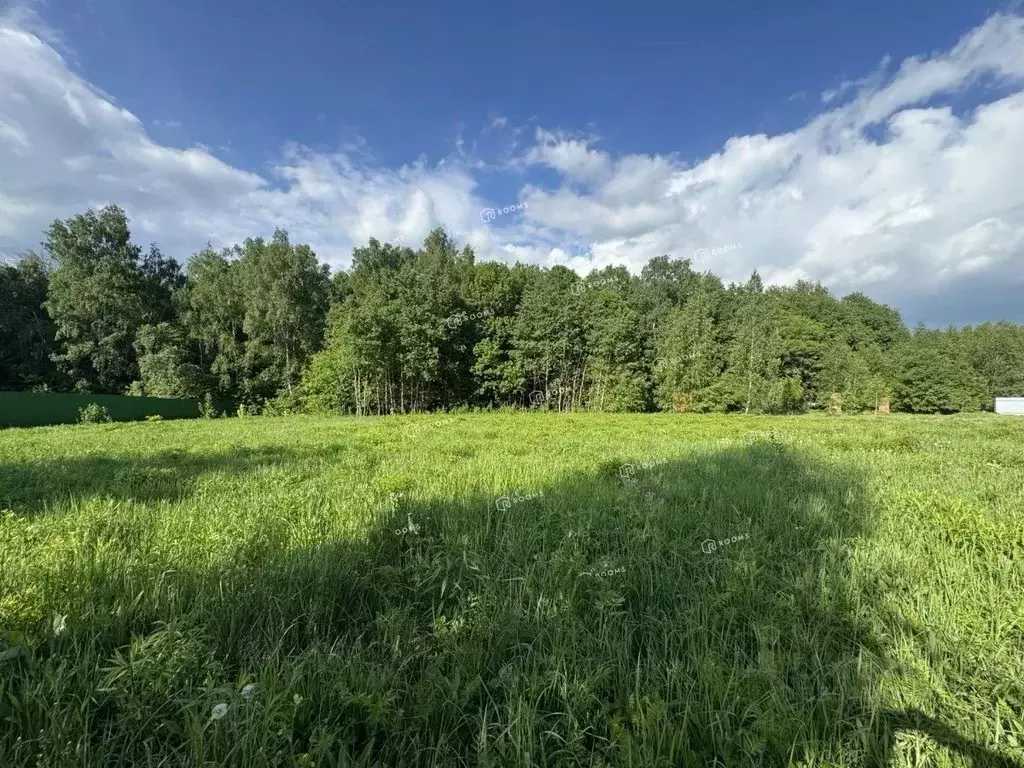 Участок в Тульская область, Тула городской округ, д. Горюшино ул. ... - Фото 1