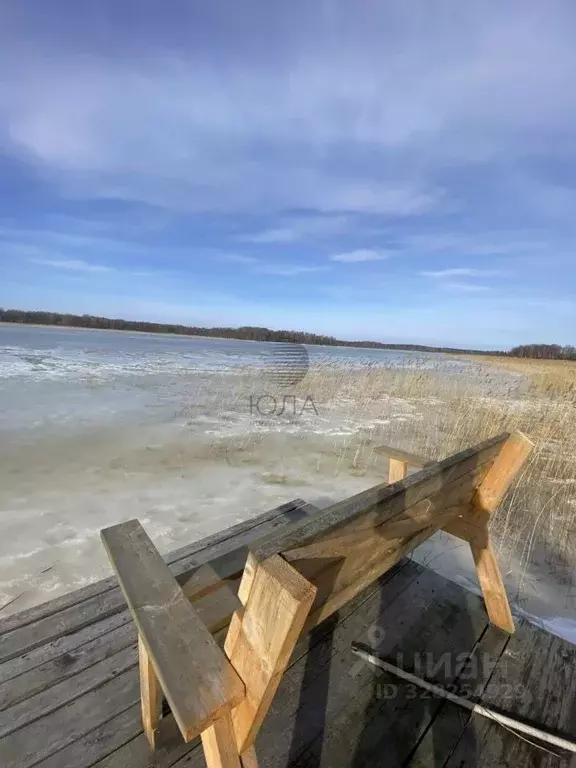 Участок в Ленинградская область, Приозерский район, Ромашкинское ... - Фото 1