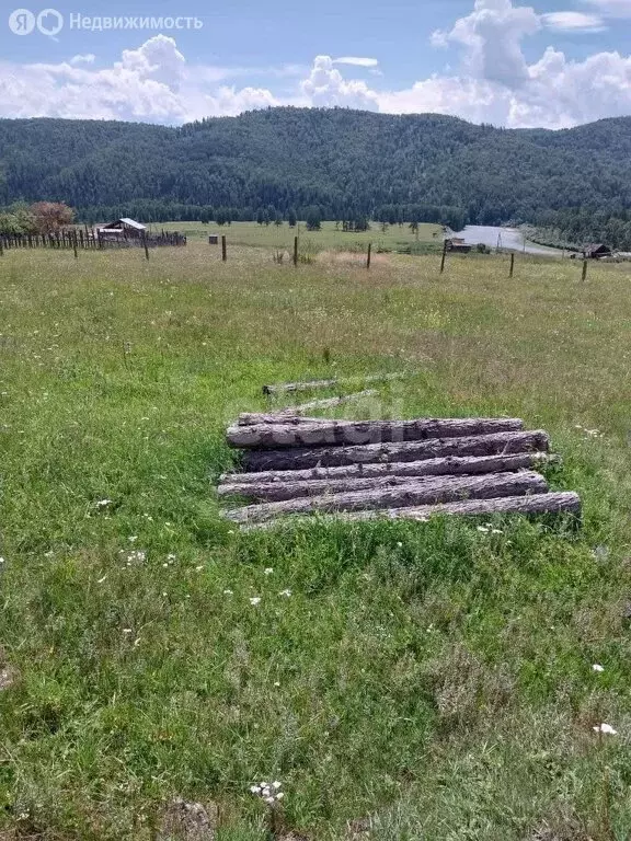 Участок в Усть-Коксинский район, село Власьево (40 м) - Фото 0