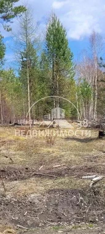 Участок в Иркутская область, Ангарский городской округ, с. Одинск  ... - Фото 0