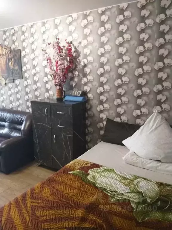 1-к кв. Новгородская область, Боровичи Пушкинская ул., 74 (30.0 м) - Фото 1